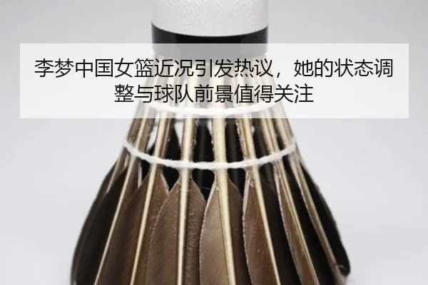 李梦中国女篮近况引发热议，她的状态调整与球队前景值得关注